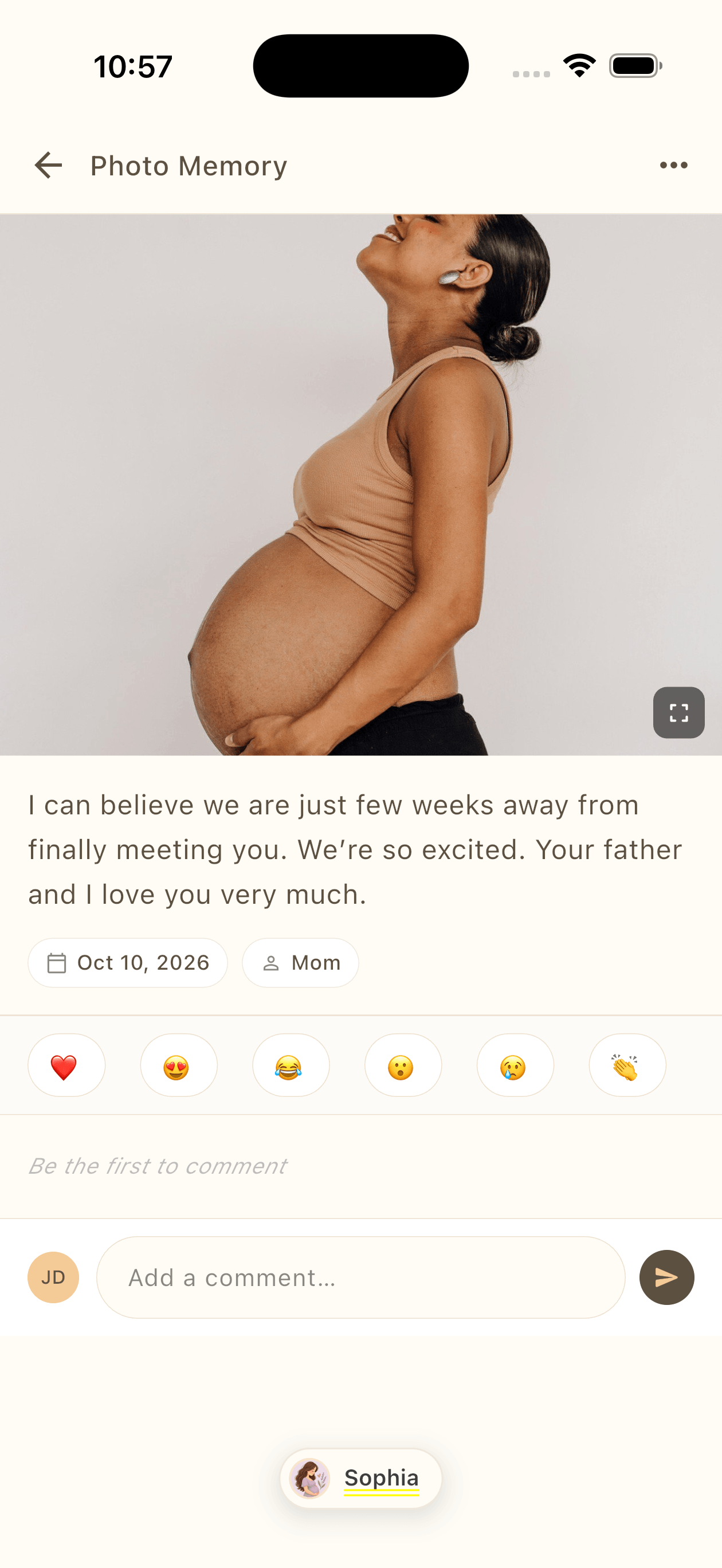 A written pregnancy memory in The Days We Keep